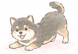 獣医師 募集要項