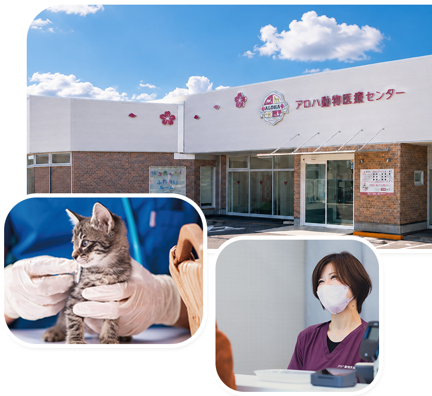 アロハ動物医療センターの外観と診療風景