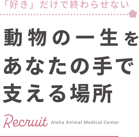 「好き」だけで終わらせない　動物の一生をあなたの手で支える場所　Recruit Aloha Animal Medical Center