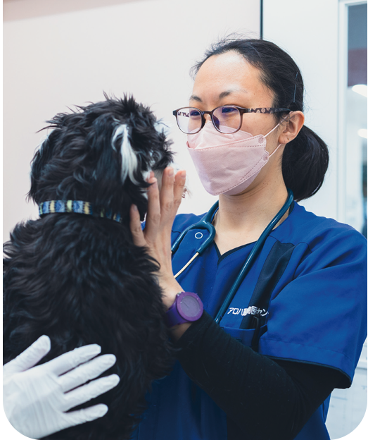 犬を診察する獣医師