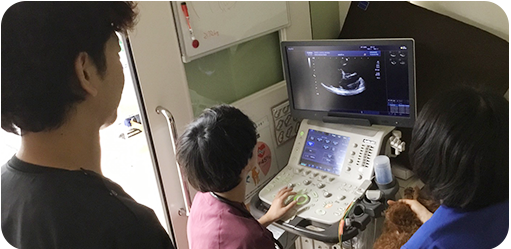 顕微鏡を使った検査の様子