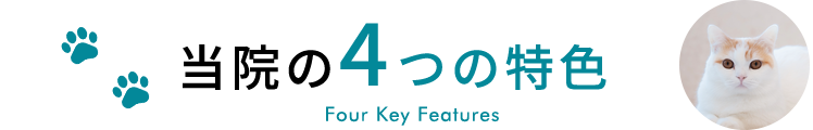 当院の4つの特色　Four Key Features