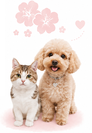里親募集中の猫と犬